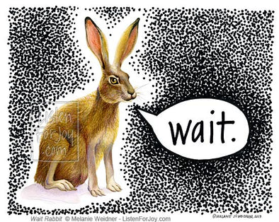 Jack Rabbit Says Wait?