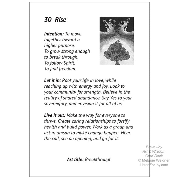 1 Deck, Art & Wisdom Cards, Brave Joy NEW