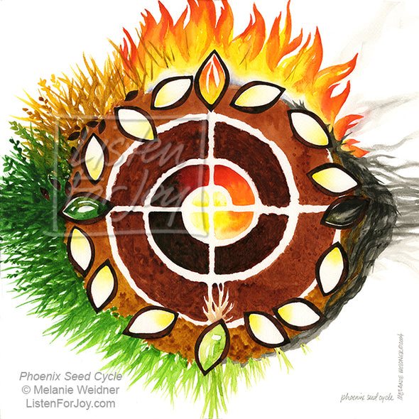 Phoenix Seed Cycle